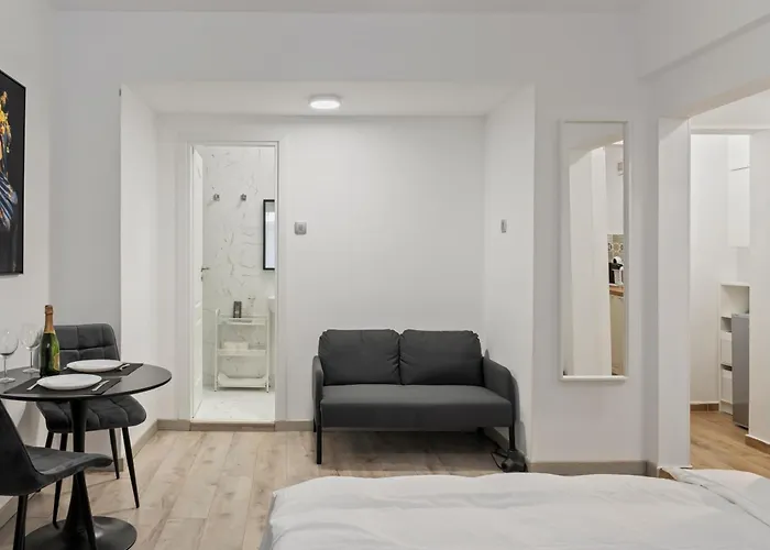 Brand New Studio Cismigiu Park Cti